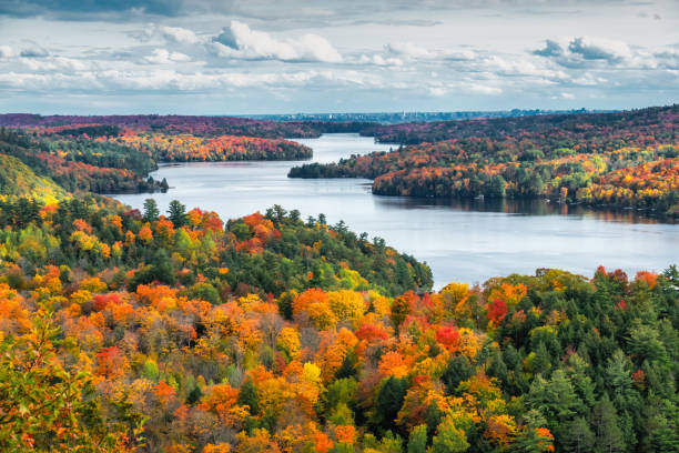 Gatineau Park, Quebec, Canada — autumn